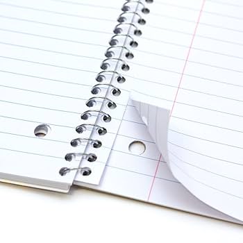 Amazon.com : Pukka Pad, Metallic Single Subject Spiral Bound